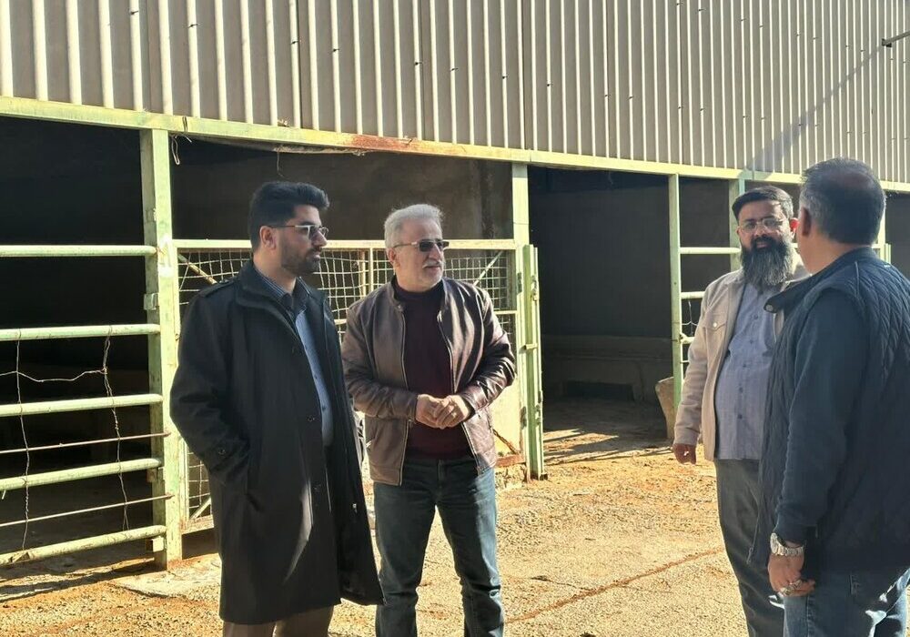 رئیس خانه صنعتکاران ایران خبرداد:
                                تلاش برای احیاء اولین مرکز عرضه گوشت مکانیزه در خاورمیانه پس از ۱۷ سال