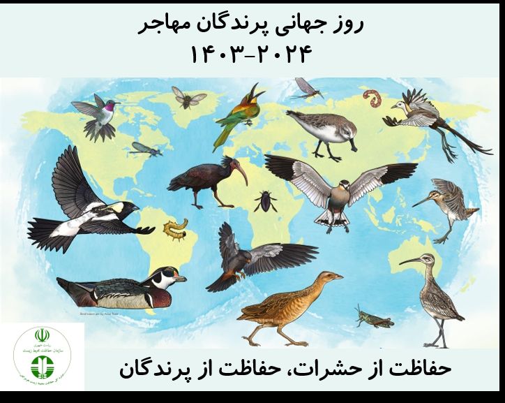 روز جهانی پرندگان مهاجر در سال ۲۰۲۴