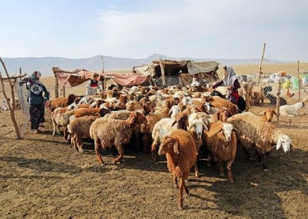 ارسلان حیدری رییس امور عشایر هرمزگان از افزایش ۲۵۰ درصدی اعتبار تسهیلاتی تبصره ۱۸ برای عشایر استان هرمزگان خبر داد.